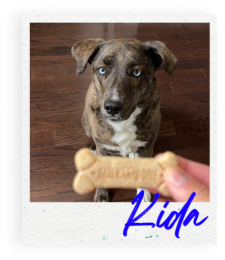 Kida polaroid